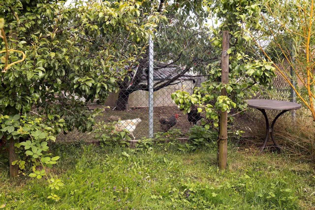 Apartmán Zum Haselbach Weilheim Exteriér fotografie